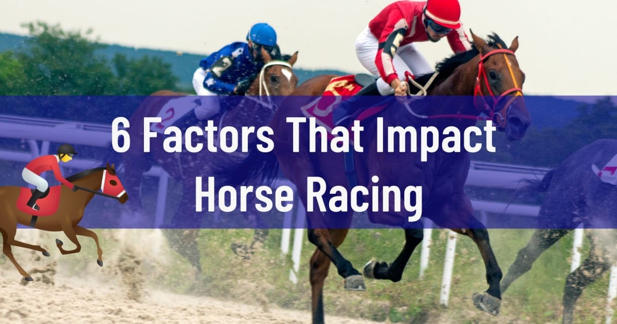 6 faktorer som påvirker hesteveddeløp