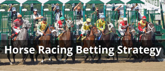 Bettingstrategi på hesteveddeløp: tips og triks for å lykkes